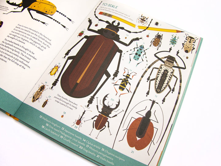 Bonkers About Beetles Book - STEAM Kids Brisbane