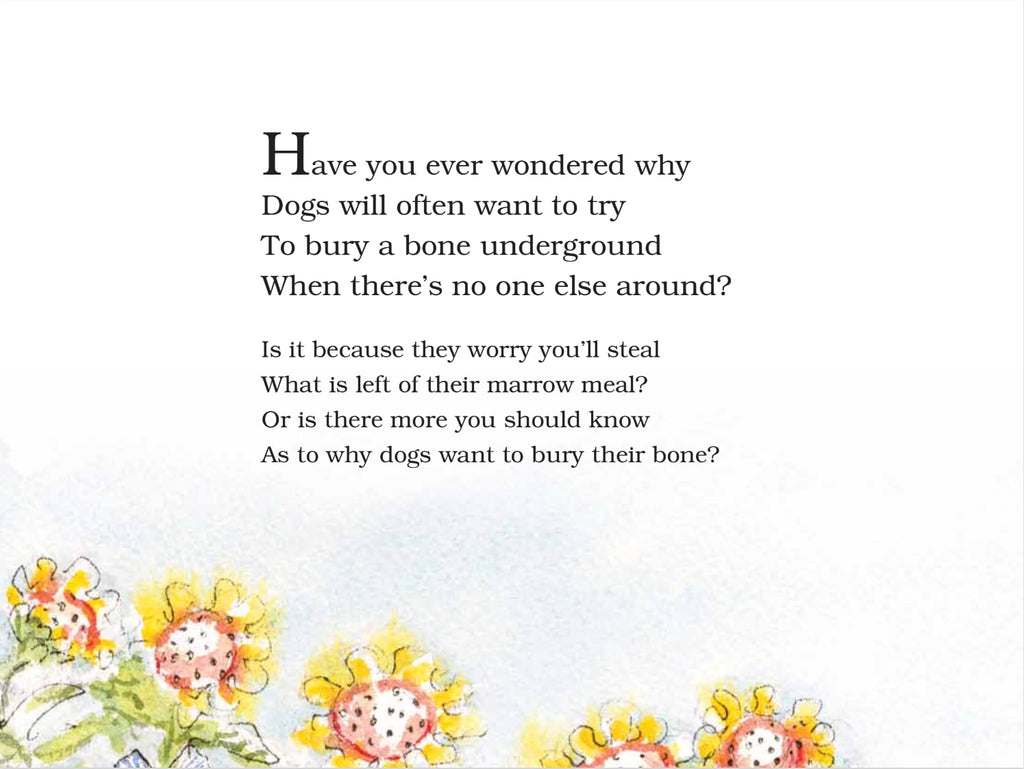 Why Dogs Bury Bones Book - STEAM Kids Brisbane