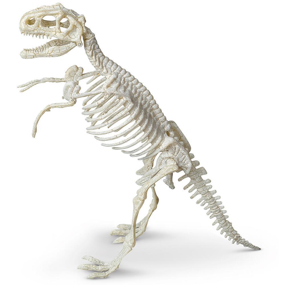 Heebie Jeebies | Palaeontology Kit - Tyrannosaurus - STEAM Kids 