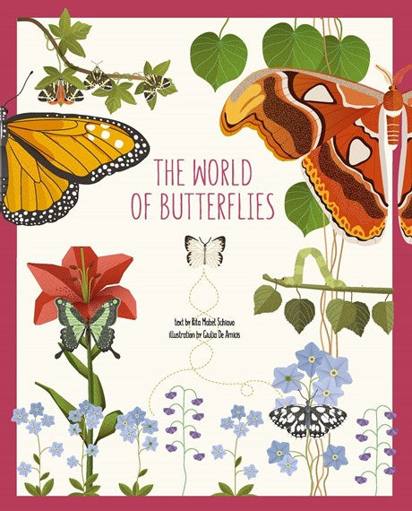 The World of Butterflies - STEAM Kids Brisbane