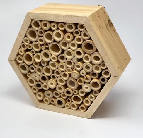 Bees need our help! Introducing the Bee Hotel