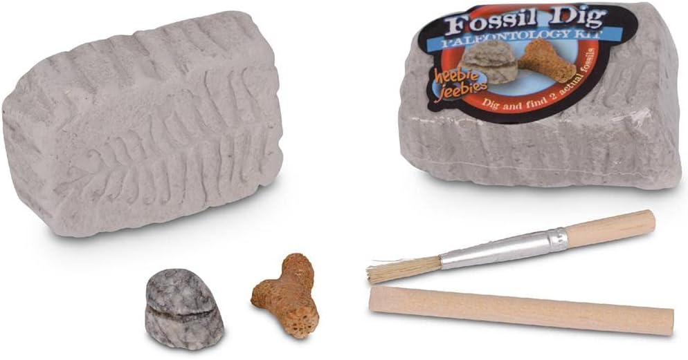 Fossil Dig Paleo Kit | Heebie Jeebies - STEAM Kids Brisbane