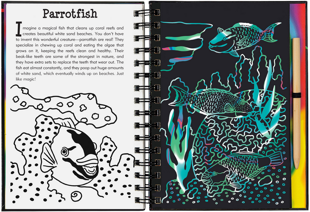 Scratch and Sketch | Coral Reefs Art Activity Book - STEAM Kids Brisbane
