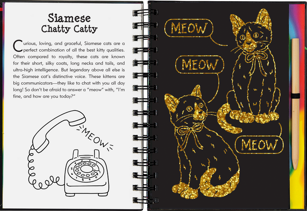 Kittens Scratch and Sketch | Trace Along Art Activity Book - STEAM Kids Brisbane