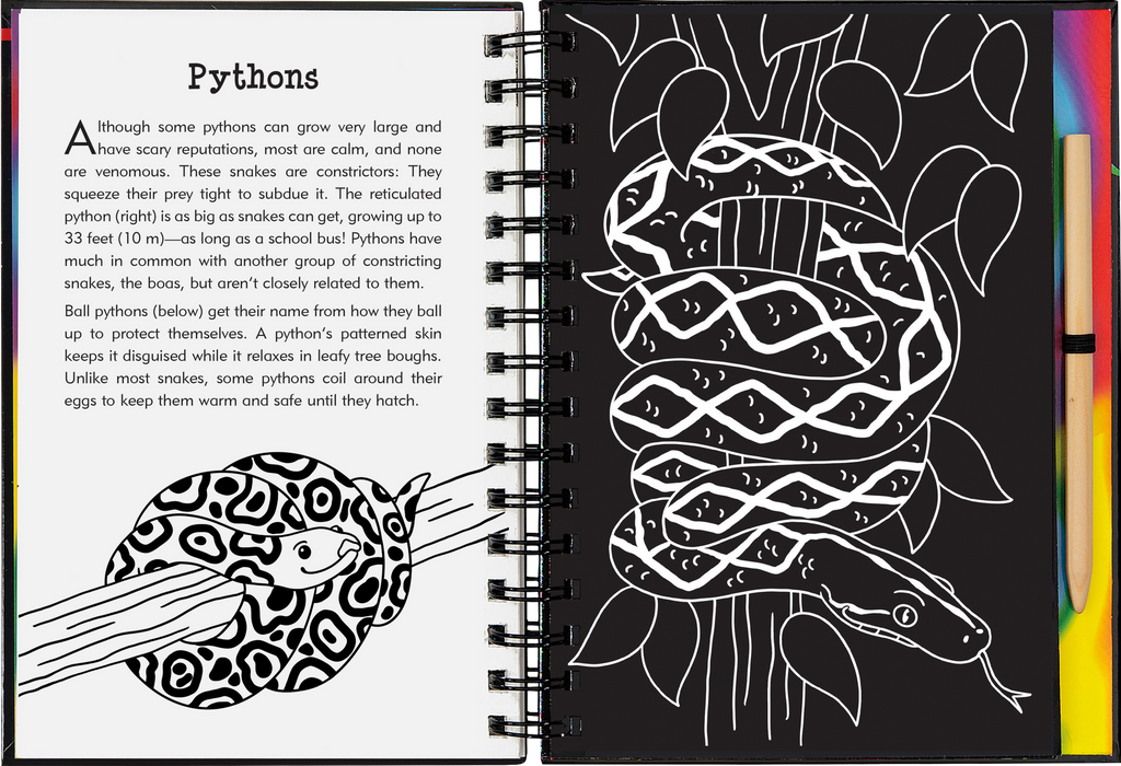 Reptiles & Amphibians Scratch and Sketch -  Art Activity Book (Trace Along) - STEAM Kids Brisbane