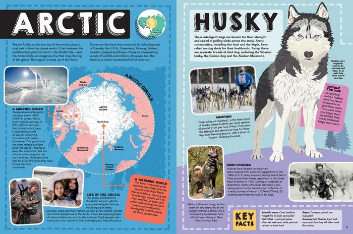 Lonely Planet Kids - The Animal Book - STEAM Kids Brisbane