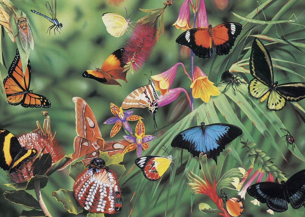 Butterflies and Beetles 1000 Piece Jigsaw Puzzle | Blue Opal - STEAM Kids Brisbane