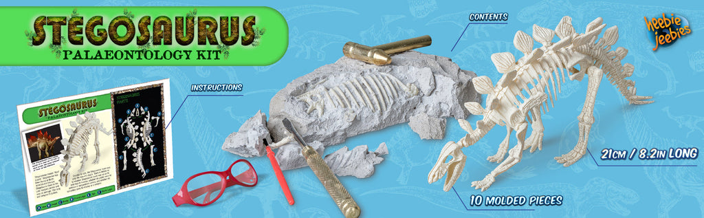 Heebie Jeebies | Palaeontology Kit - Stegosaurous - STEAM Kids Brisbane