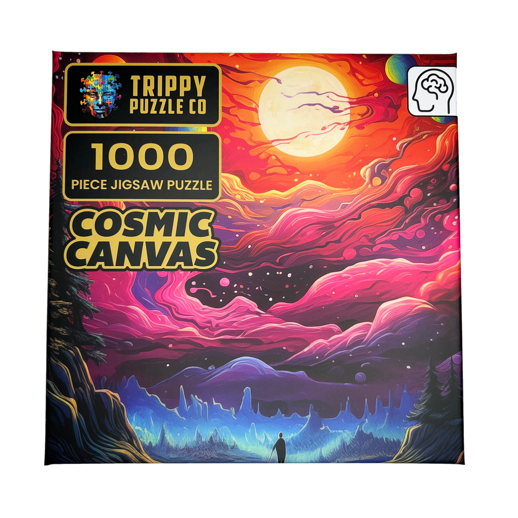 Cosmic Canvas Puzzle 1000 Piece - STEAM Kids Brisbane