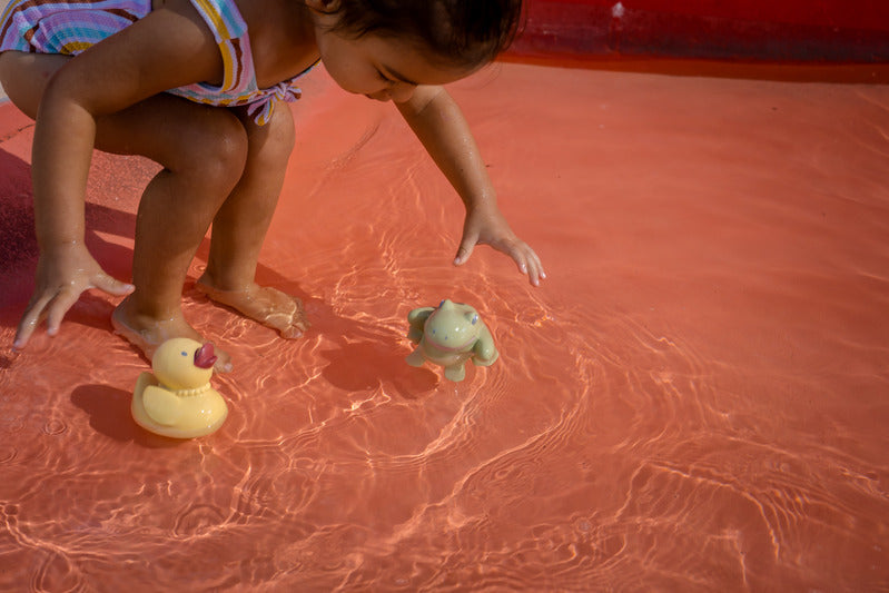 Gemba The Frog - Rubber Toy (Boxed) | Meiya and Alvin - Tikiri - STEAM Kids Brisbane