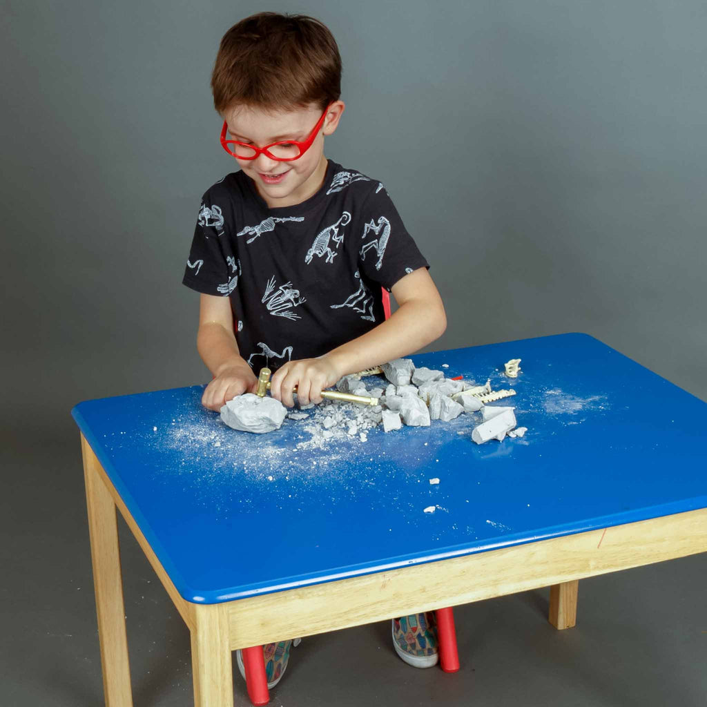 Heebie Jeebies | Palaeontology Kit - Triceratops - STEAM Kids Brisbane