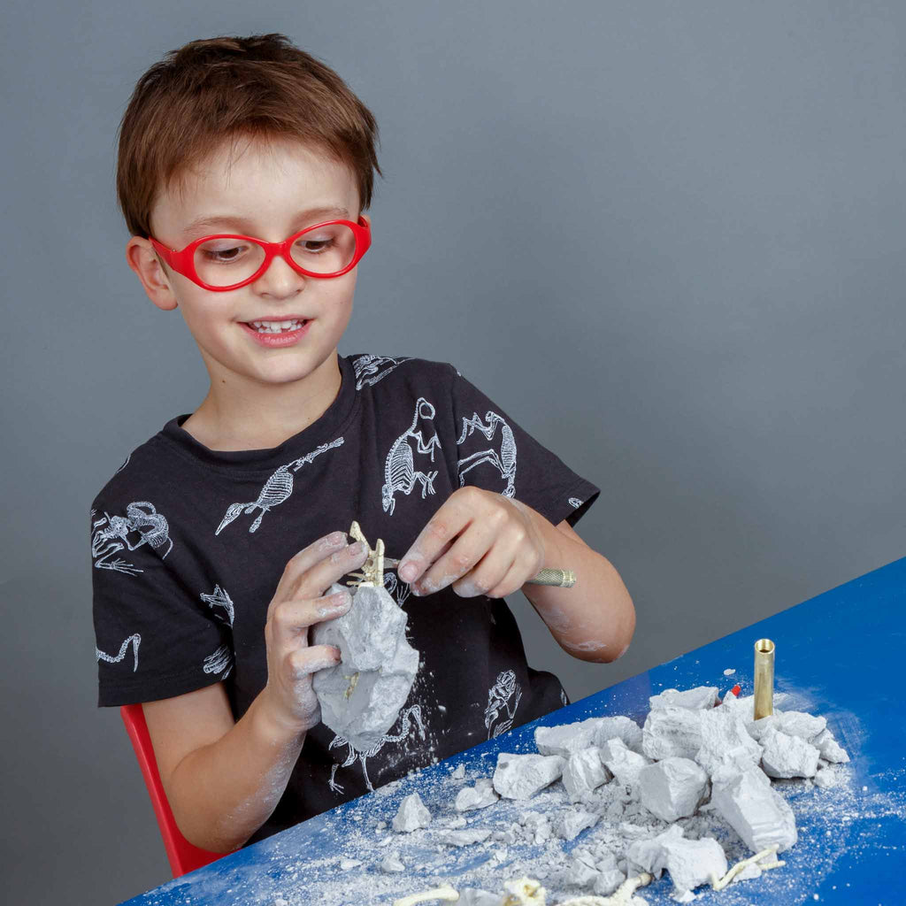 Heebie Jeebies | Palaeontology Kit - Triceratops - STEAM Kids Brisbane