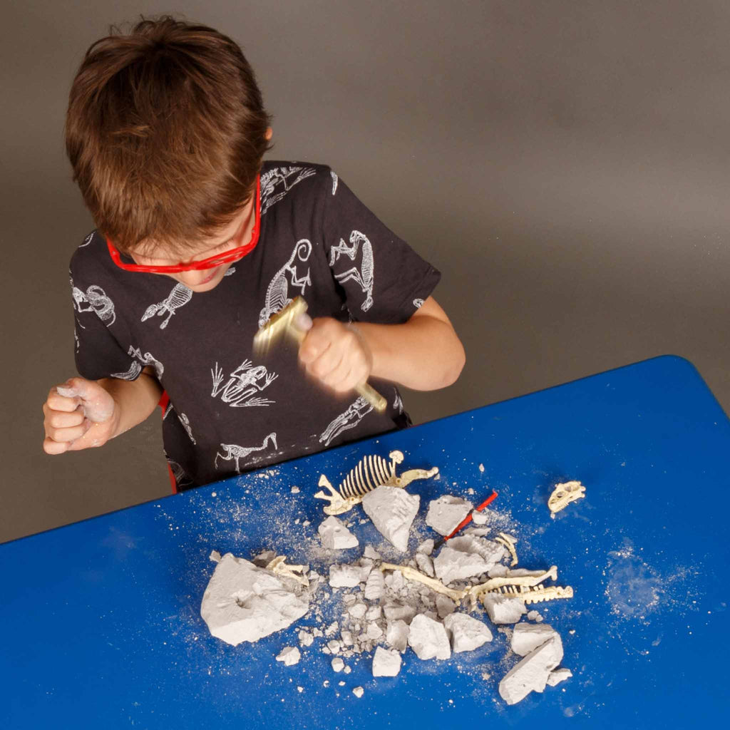 Heebie Jeebies | Palaeontology Kit - Stegosaurous - STEAM Kids Brisbane