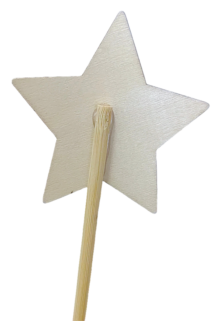 Wooden Craft Star Wand - STEAM Kids Brisbane