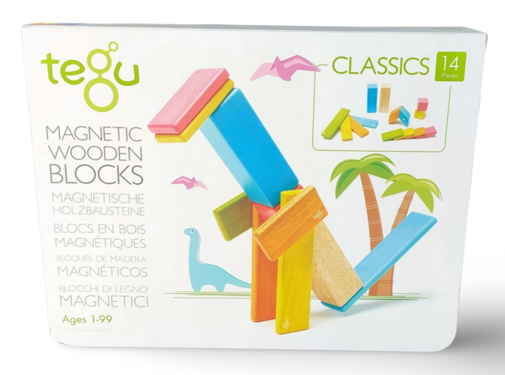 Tegu Magnetic Wooden Blocks 14 Piece Set - STEAM Kids Brisbane