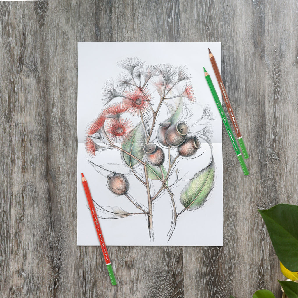 Micador Layflat Art Journal A4 - STEAM Kids Brisbane