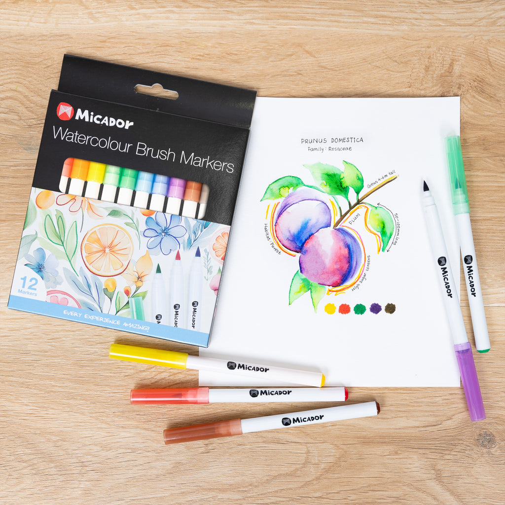 Micador Watercolour Brush Markers 12 Pack - STEAM Kids Brisbane