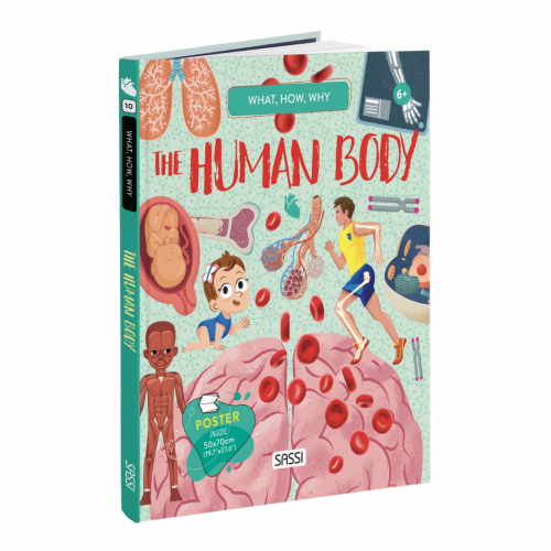 Sassi What How and Why The Human Body Book and Poster - STEAM Kids Brisbane