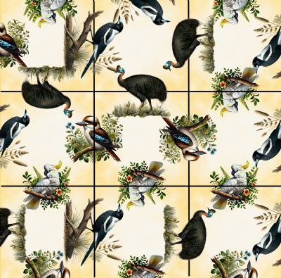 Squzzle Puzzle - Australian Birds - STEAM Kids Brisbane