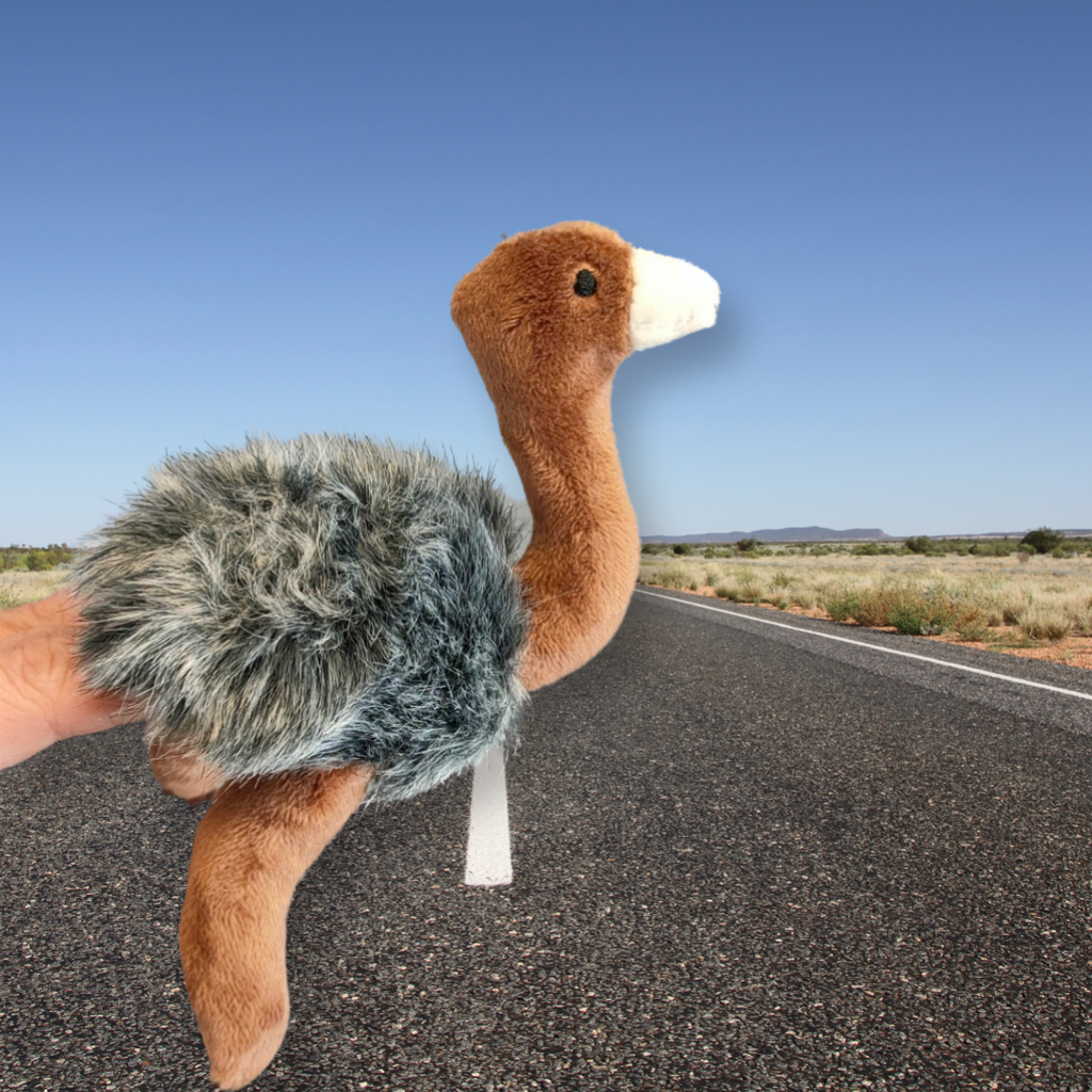 Emu Finger Puppet l Animals of Australia - STEAM Kids Brisbane
