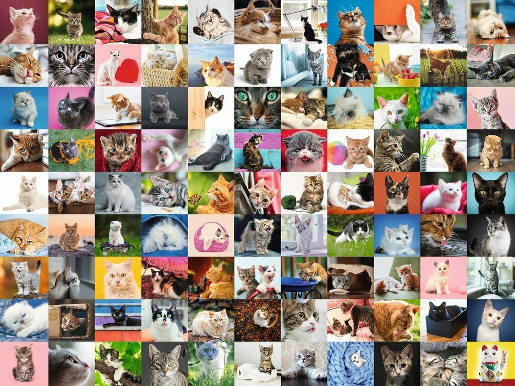 Ravensburger 1500 Piece Puzzle | 99 Cats - STEAM Kids Brisbane