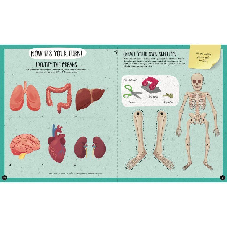 Sassi What How and Why The Human Body Book and Poster - STEAM Kids Brisbane