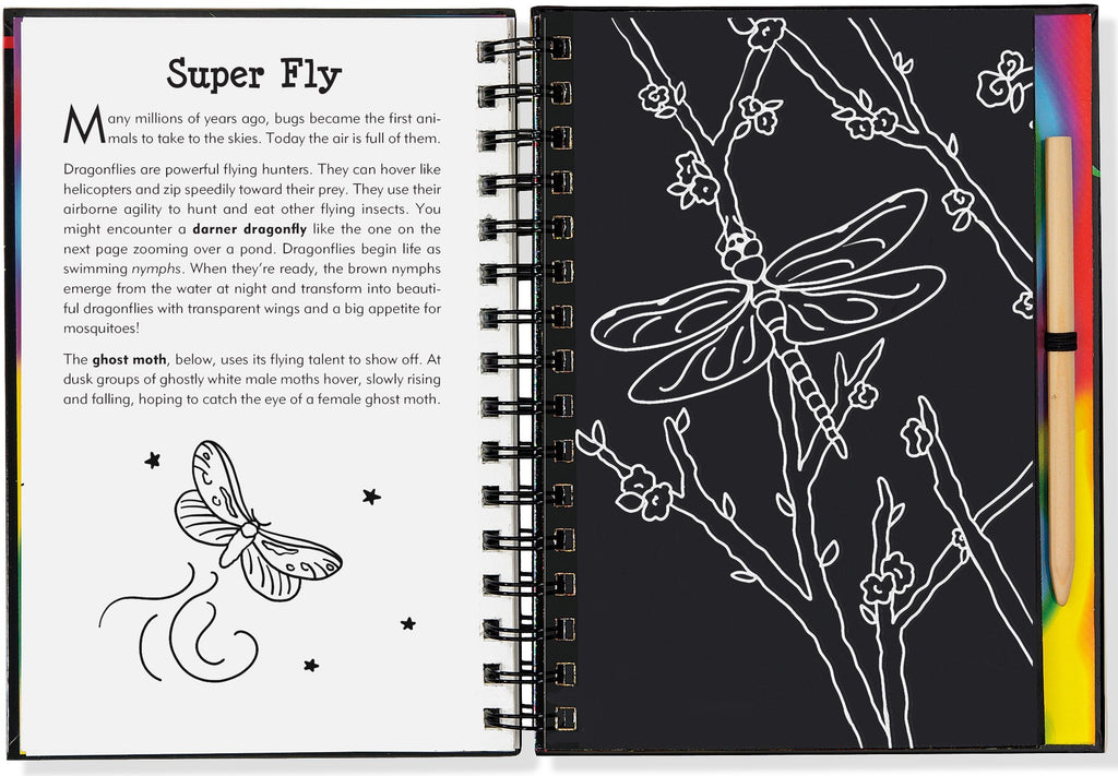 Scratch and Sketch - Bugs! Art Activity Book | Peter Pauper Press - STEAM Kids 