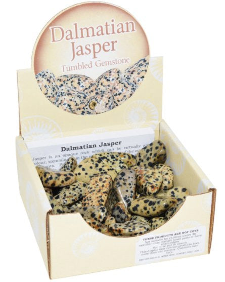 Dalmatian Jasper - Tumbled Gemstone | Discover Science - STEAM Kids Brisbane