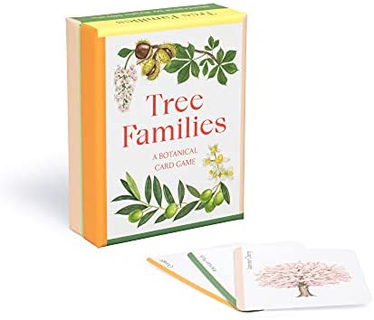 Tree Families a Botanical Card Game - STEAM Kids Brisbane