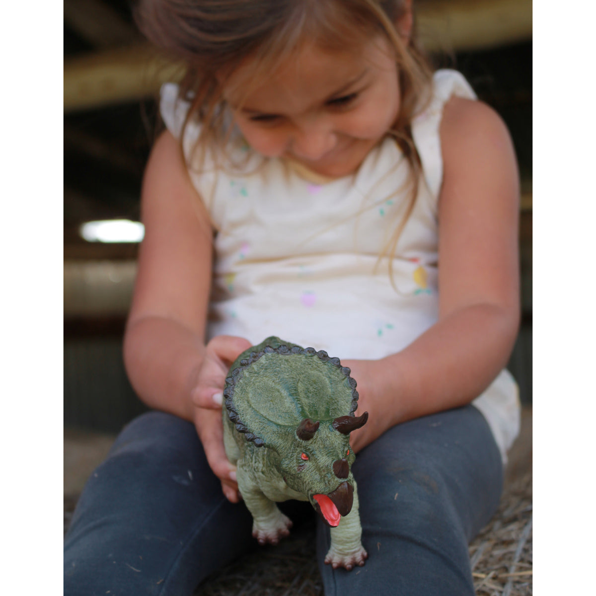 Triceratops 24cm Dinosaur Figurine Toy STEAM Kids