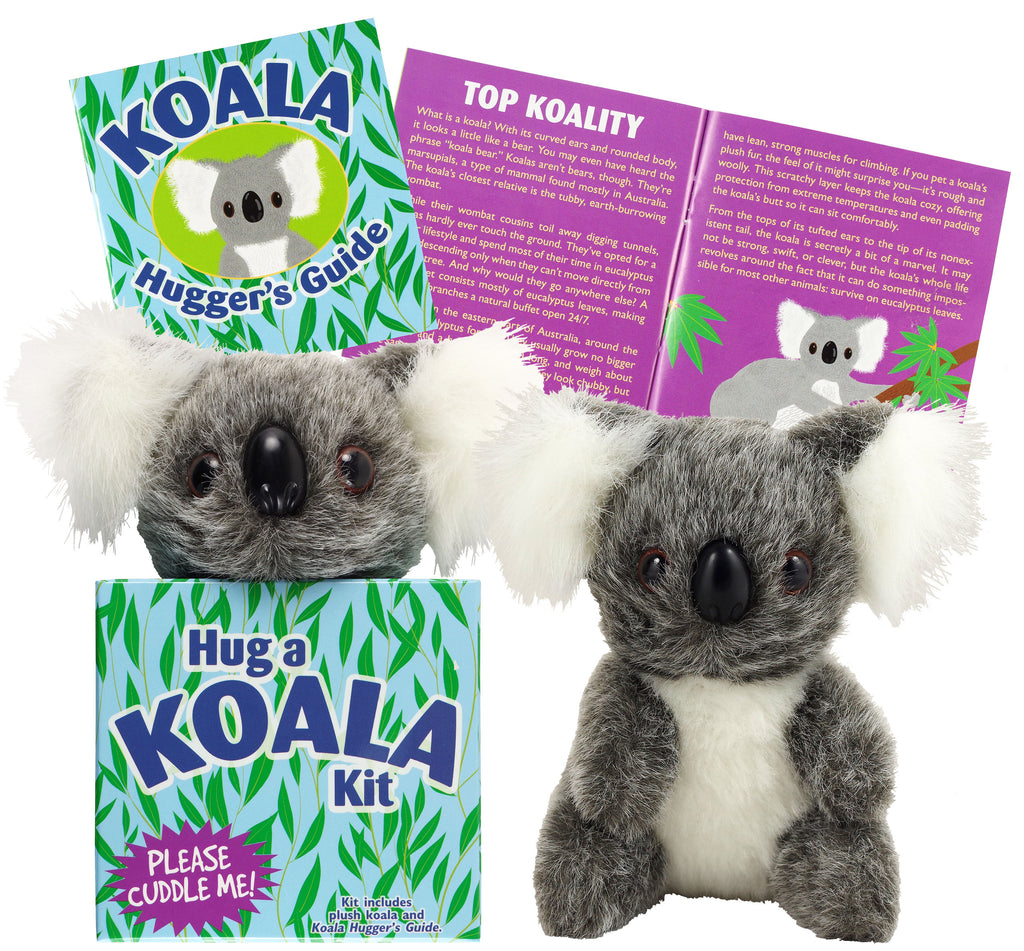 Hug A Koala Kit | Peter Pauper Press - STEAM Kids 