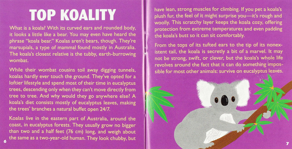 Hug A Koala Kit | Peter Pauper Press - STEAM Kids 