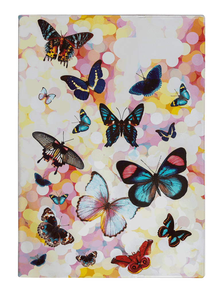Spencil A4 Bookcover - Butterflies | Book Cover A4 Exercise Book Size - STEAM Kids Brisbane