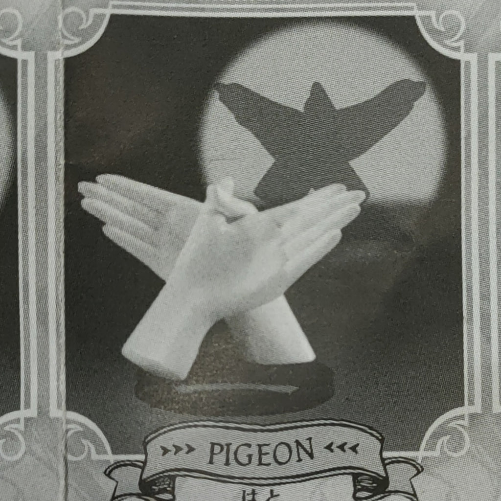 Pigeon Hand Animal Shadows | Grachpon Capsule Toy - STEAM Kids Brisbane
