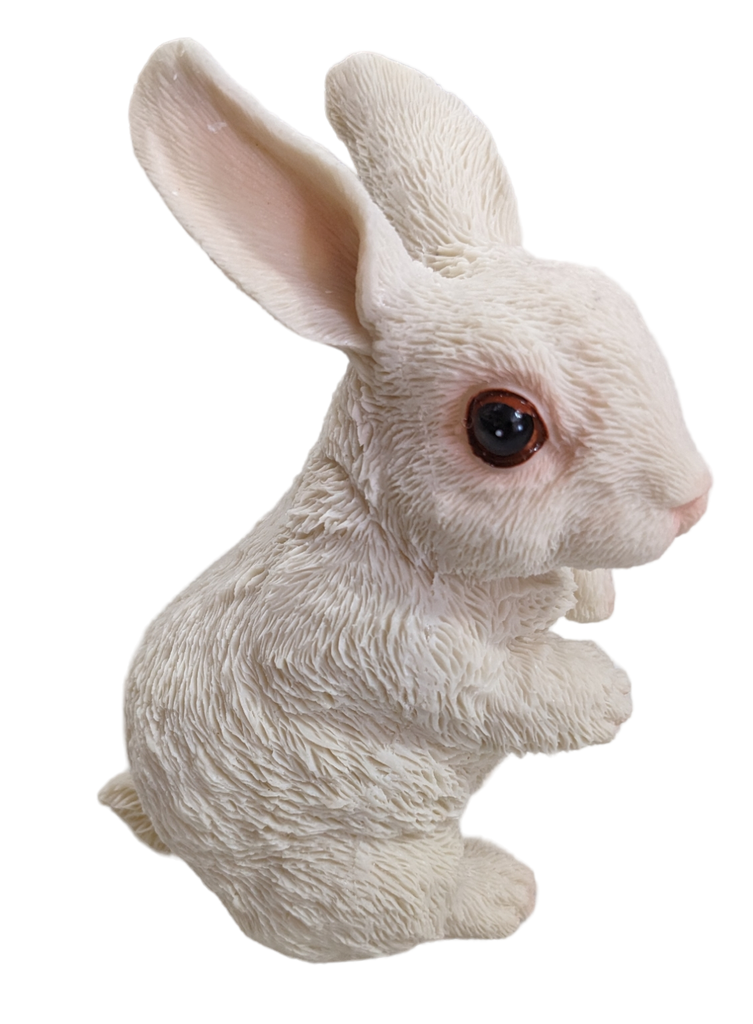 White Rabbit Replica - STEAM Kids Brisbane