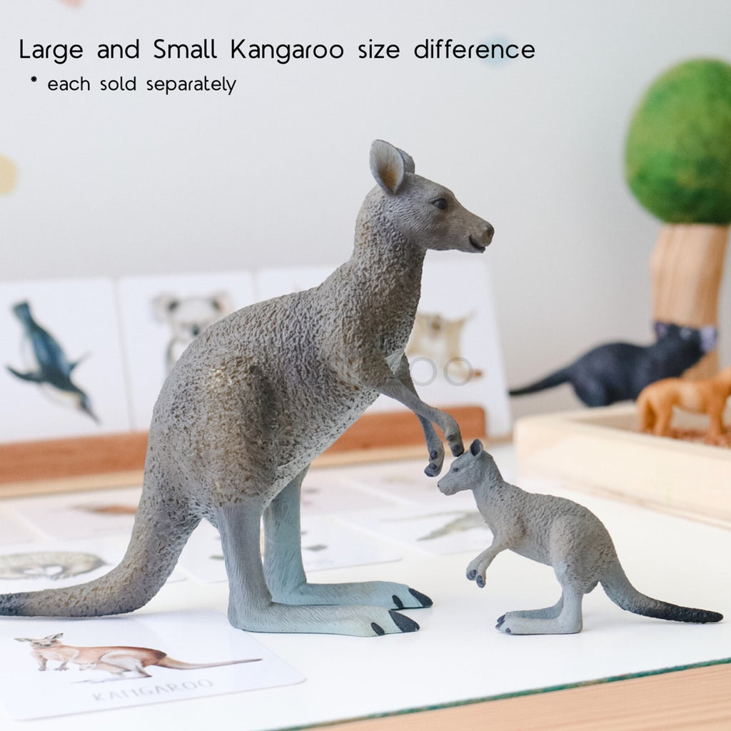 Small Kangaroo Replica - STEAM Kids Brisbane