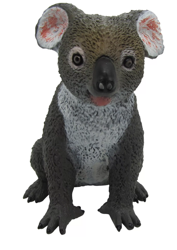 Koala Replica - STEAM Kids 