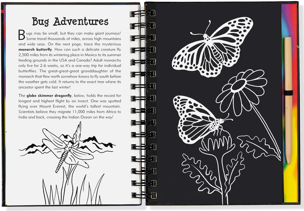 Scratch and Sketch - Bugs! Art Activity Book | Peter Pauper Press - STEAM Kids 