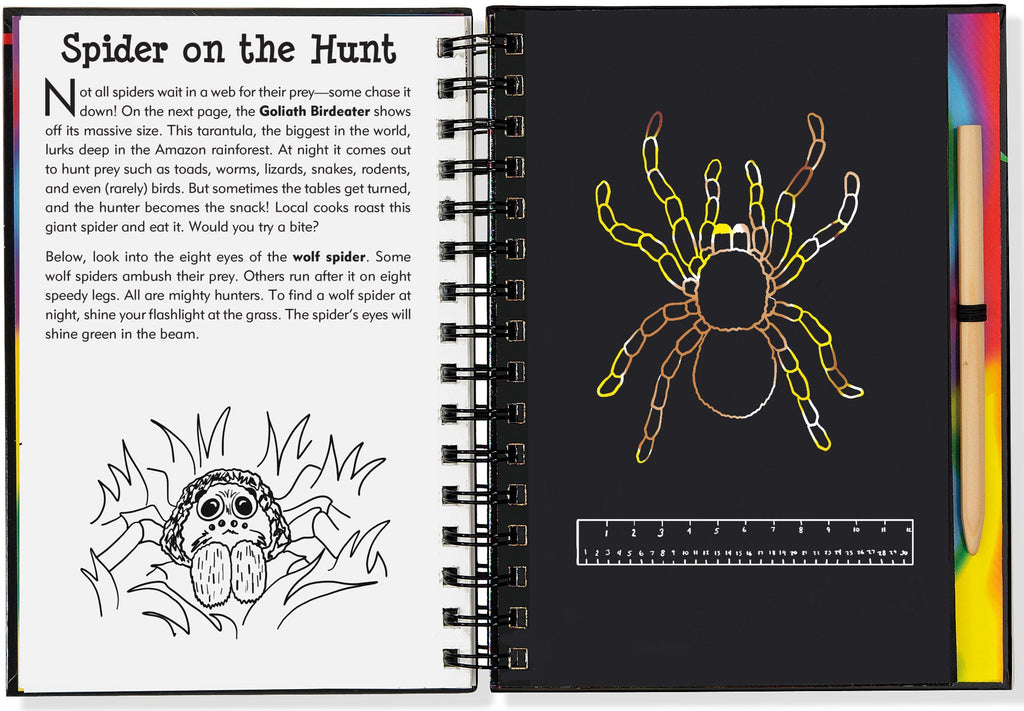 Scratch and Sketch - Bugs! Art Activity Book | Peter Pauper Press - STEAM Kids 