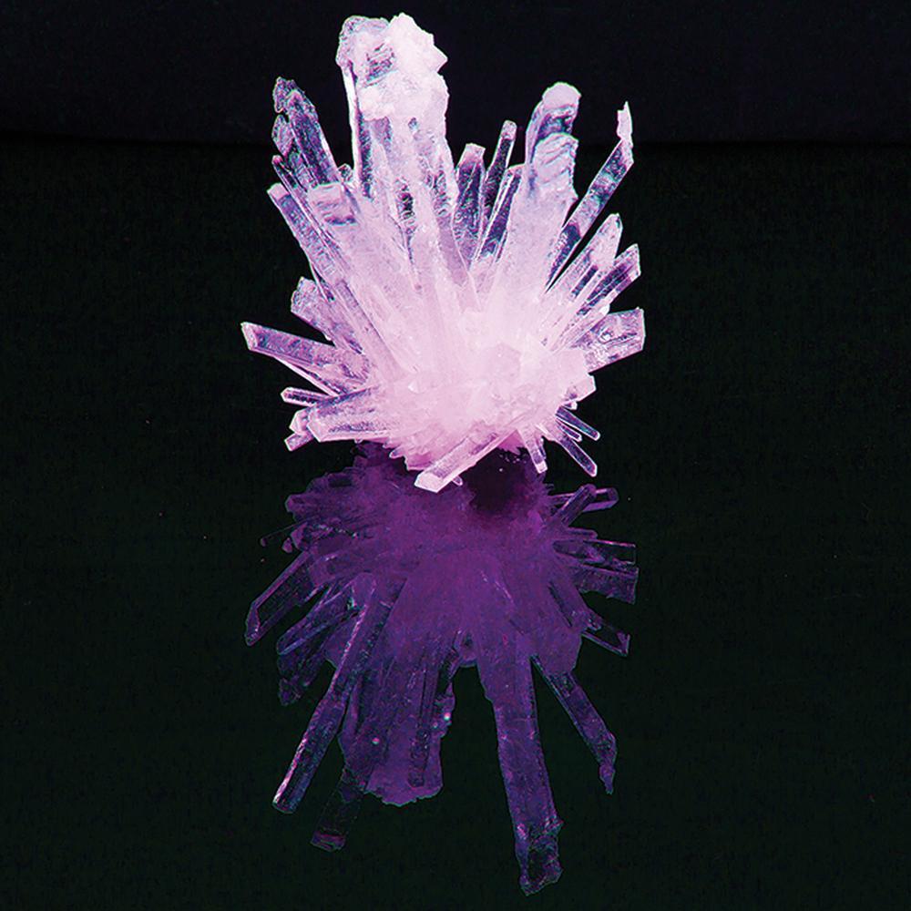 Test Tube | Growing Crystals | Assorted Colours - STEAM Kids 