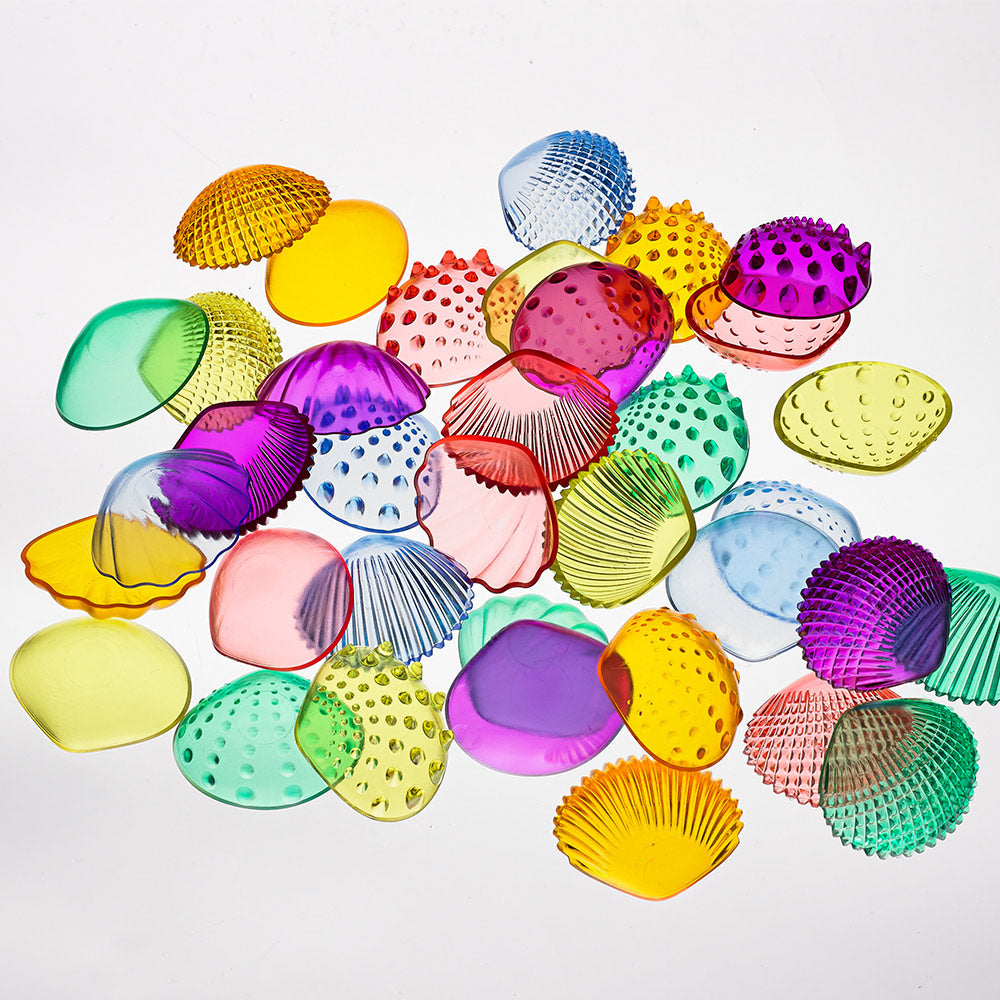 Transparent Tactile Shells - 36 piece - STEAM Kids 