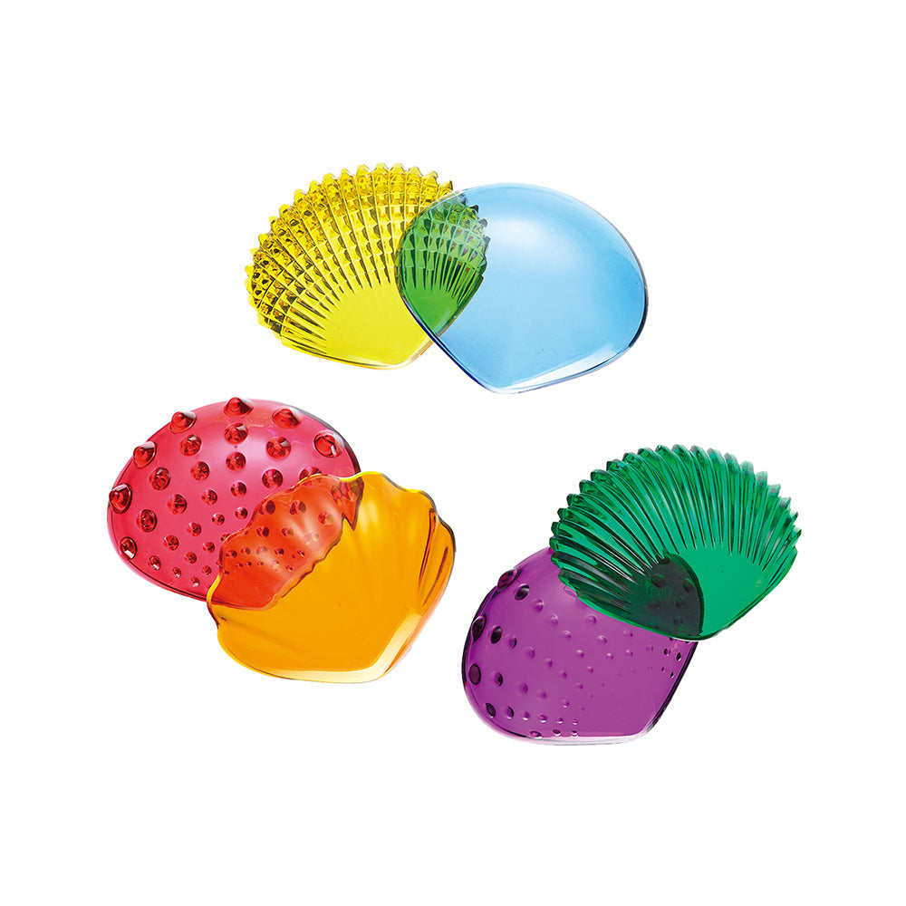 Transparent Tactile Shells - 36 piece - STEAM Kids 