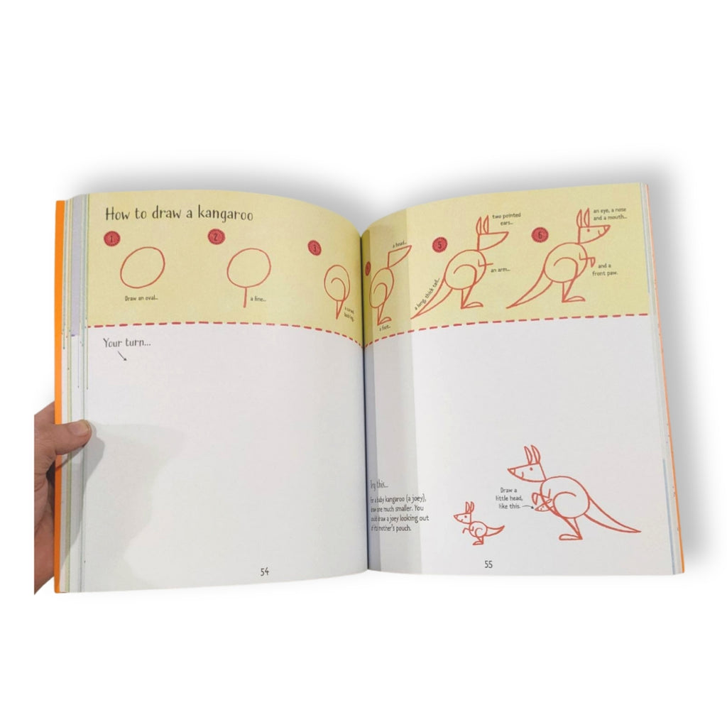 Step by Step Drawing Zoo Animals | Usborne - STEAM Kids Brisbane