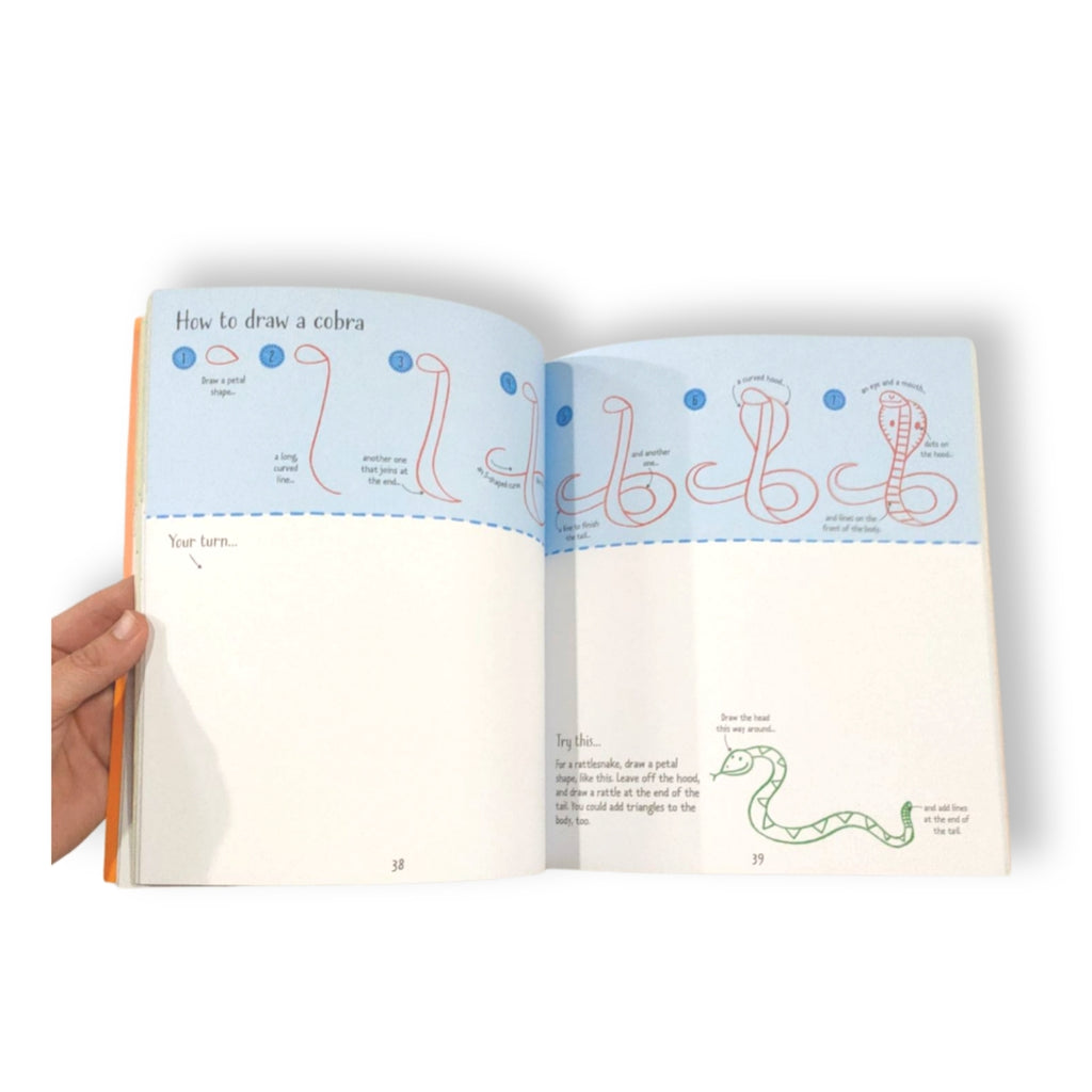 Step by Step Drawing Zoo Animals | Usborne - STEAM Kids Brisbane