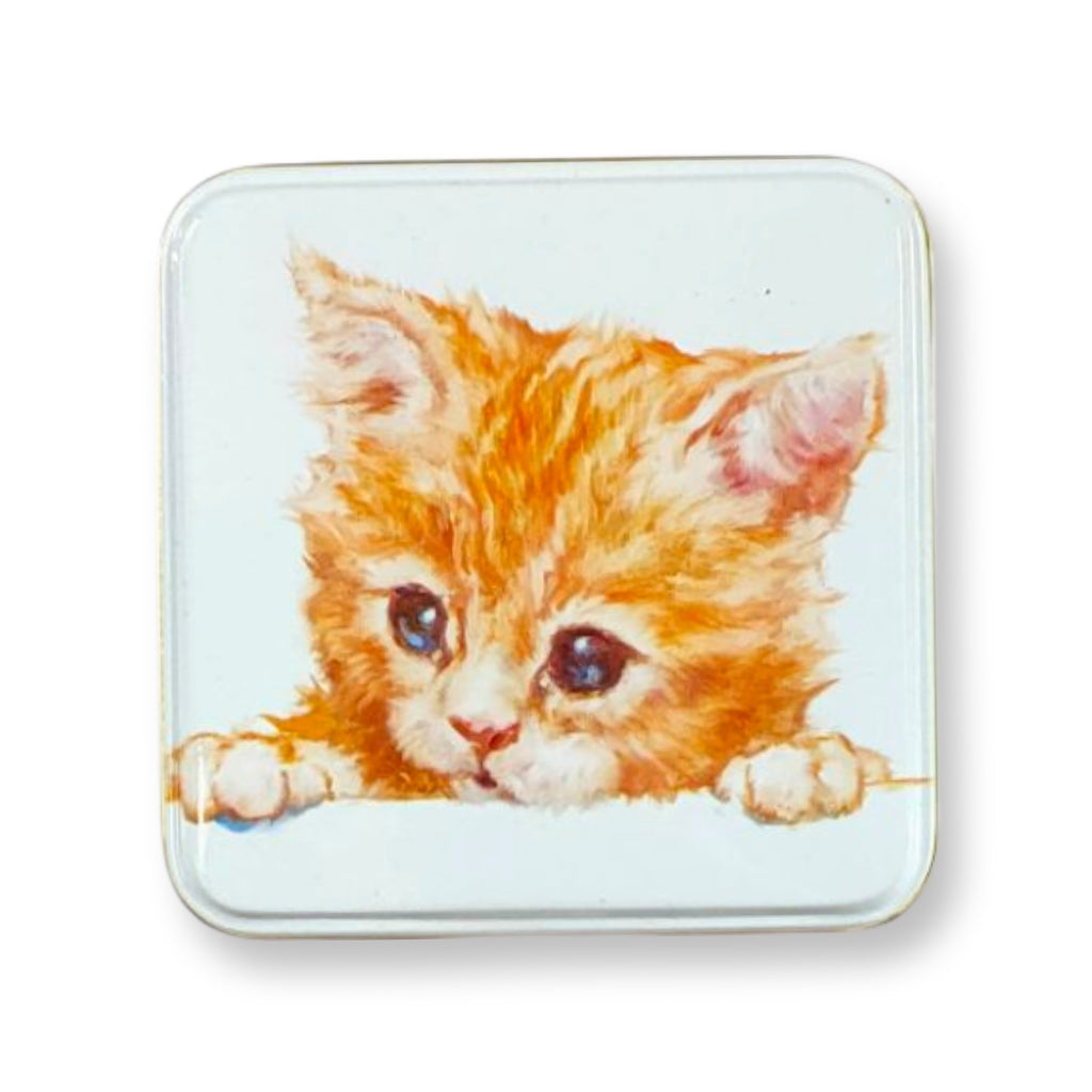 Square Trinkets Tin - Ginger Kitten Face | Best Friends by Jo Stockdale - STEAM Kids Brisbane