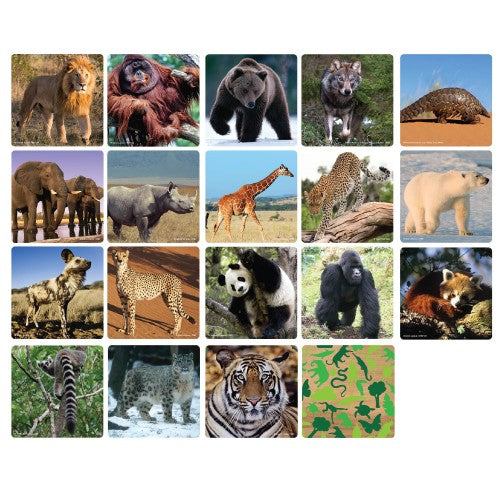 BARCODE WEIGHT WWF Memory Matching Game - Mammals - STEAM Kids Brisbane